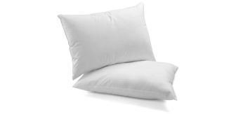 NM Duck Feather Pillow (2 Pack) - Queen
