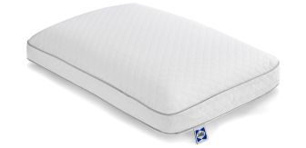 SEALY Classic Memory Foam Pillow - Standard