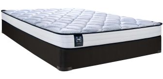 SEALY-JAMIE-QUEEN-SEALY Essentials Tight Top Firm 6 Foam Mattress-Queen-A-angle-a 2