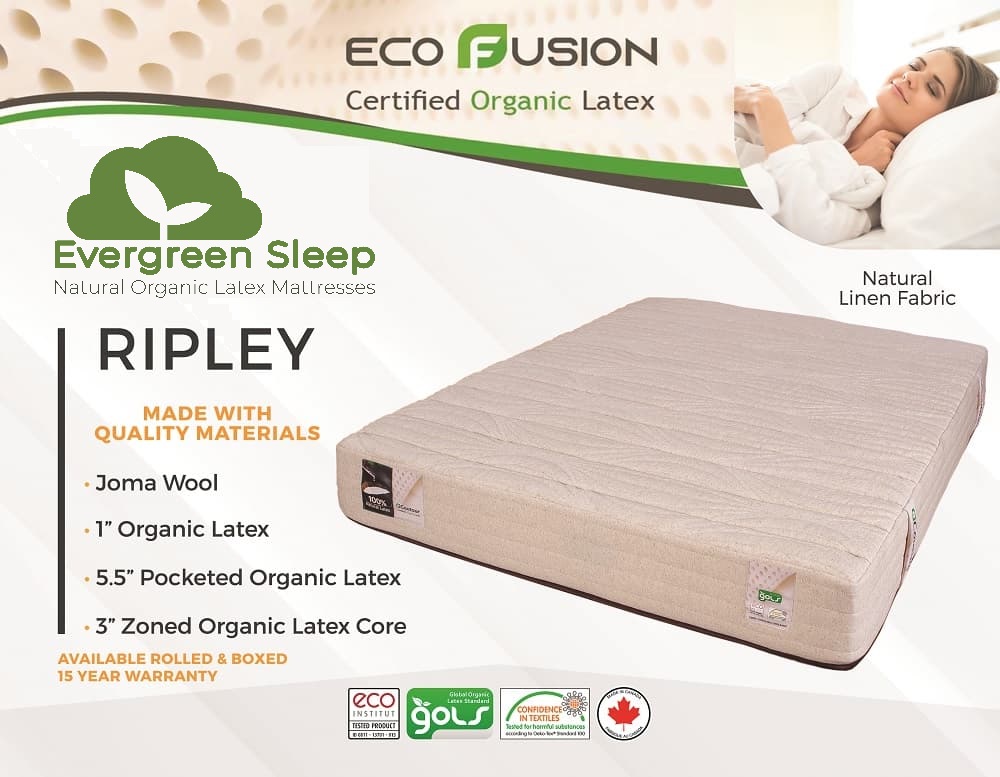 Evergreen eCoutour 100% Certified Organic Latex Plush Mattress Spec NEW